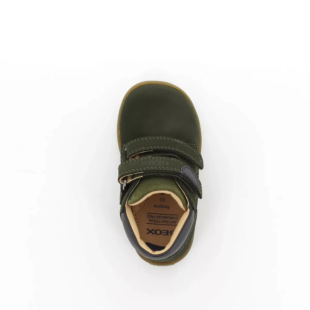 Image (6) de la chaussures Geox - Bottines Vert en Cuir nubuck