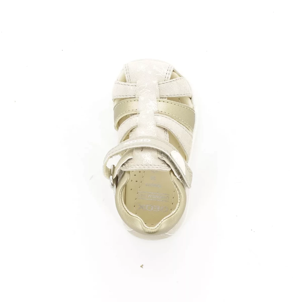 Image (6) de la chaussures Geox - Sandales et Nu-Pieds Beige en Cuir nubuck