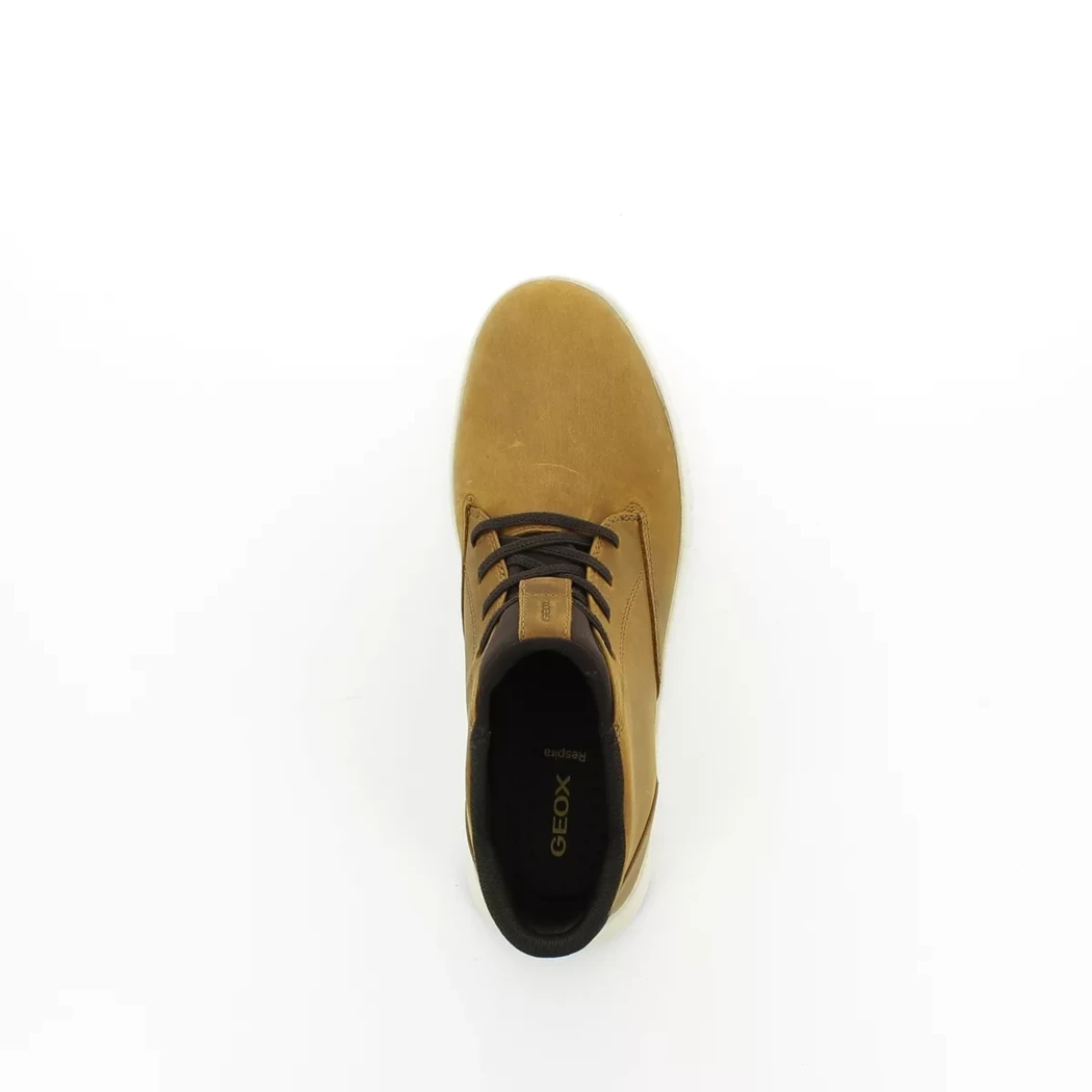 Image (6) de la chaussures Geox - Bottines Cuir naturel / Cognac en Cuir
