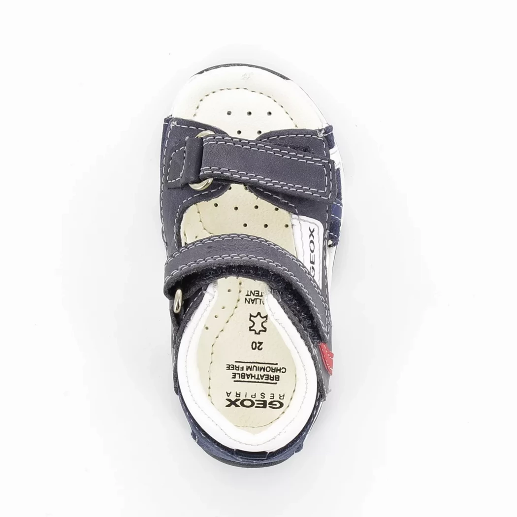 Image (6) de la chaussures Geox - Sandales et Nu-Pieds Bleu en Cuir