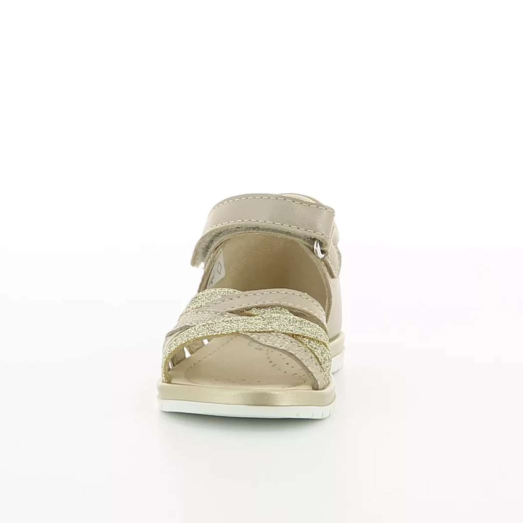 Image (5) de la chaussures Gazzoli - Sandales et Nu-Pieds Taupe en Cuir