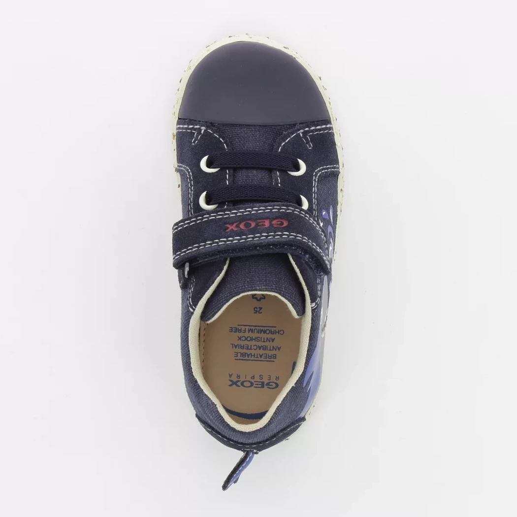 Image (6) de la chaussures Geox - Baskets Bleu en Textile