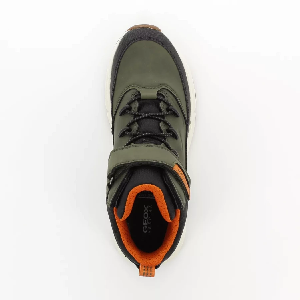 Image (6) de la chaussures Geox - Bottines Vert en Cuir synthétique