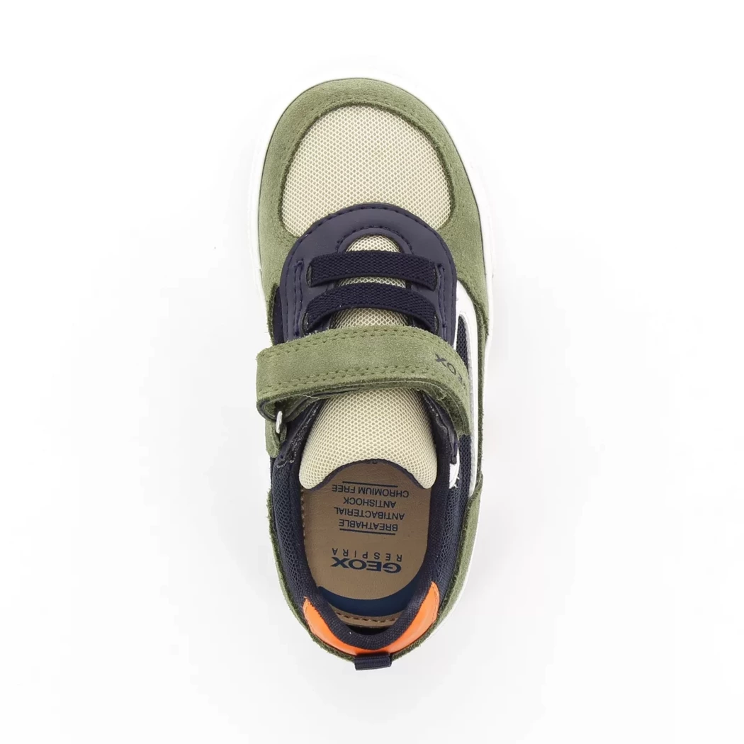 Image (6) de la chaussures Geox - Baskets Vert en Multi-Matières