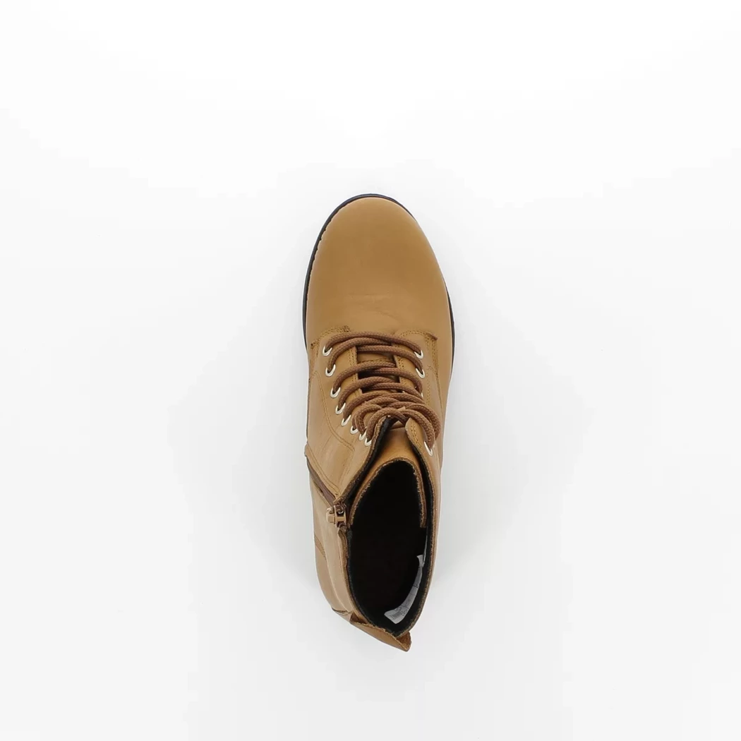 Image (6) de la chaussures Andrea Conti - Bottines Cuir naturel / Cognac en Cuir