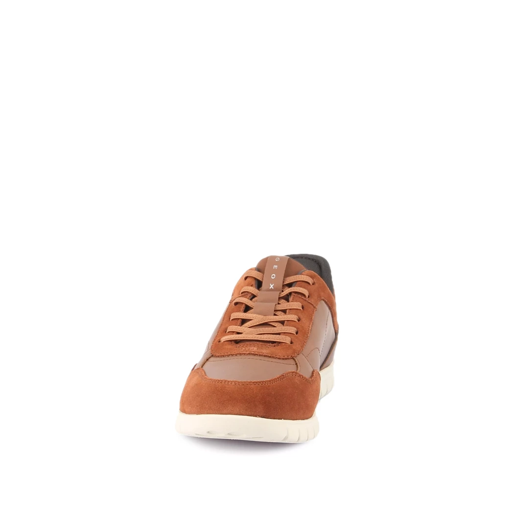 Image (5) de la chaussures Geox - Baskets Cuir naturel / Cognac en Cuir
