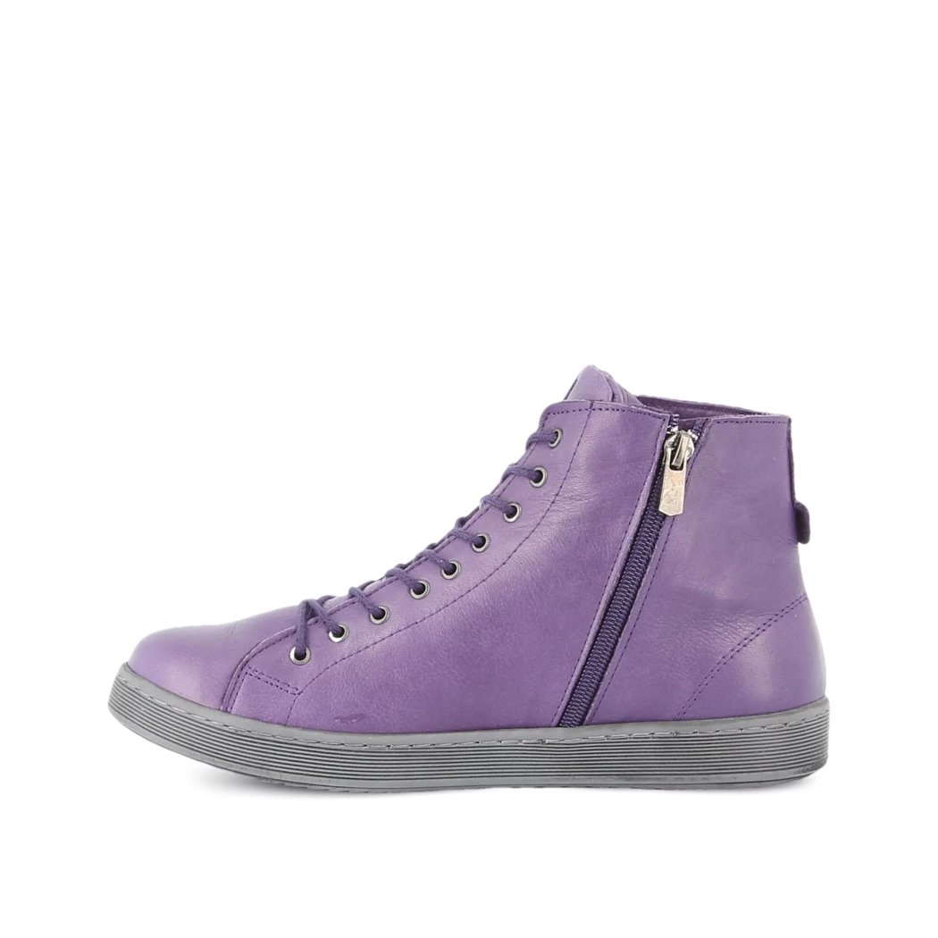 Image (4) de la chaussures Andrea Conti - Bottines Violet / Lilas en Cuir