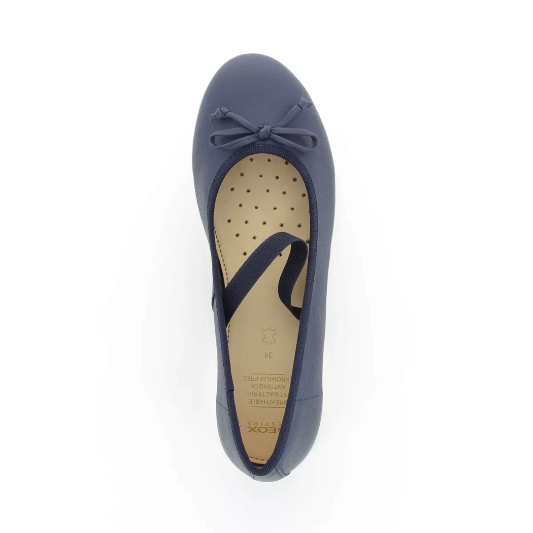 Image (6) de la chaussures Geox - Ballerines Bleu en Cuir synthétique