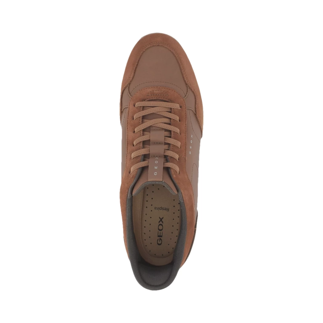 Image (6) de la chaussures Geox - Baskets Cuir naturel / Cognac en Cuir