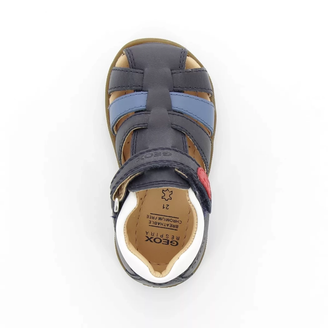 Image (6) de la chaussures Geox - Sandales et Nu-Pieds Bleu en Cuir