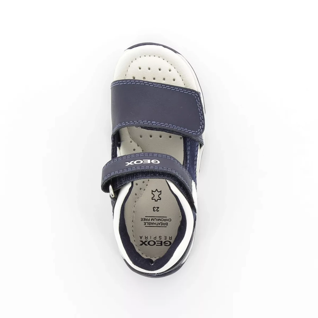 Image (6) de la chaussures Geox - Sandales et Nu-Pieds Bleu en Cuir et textile