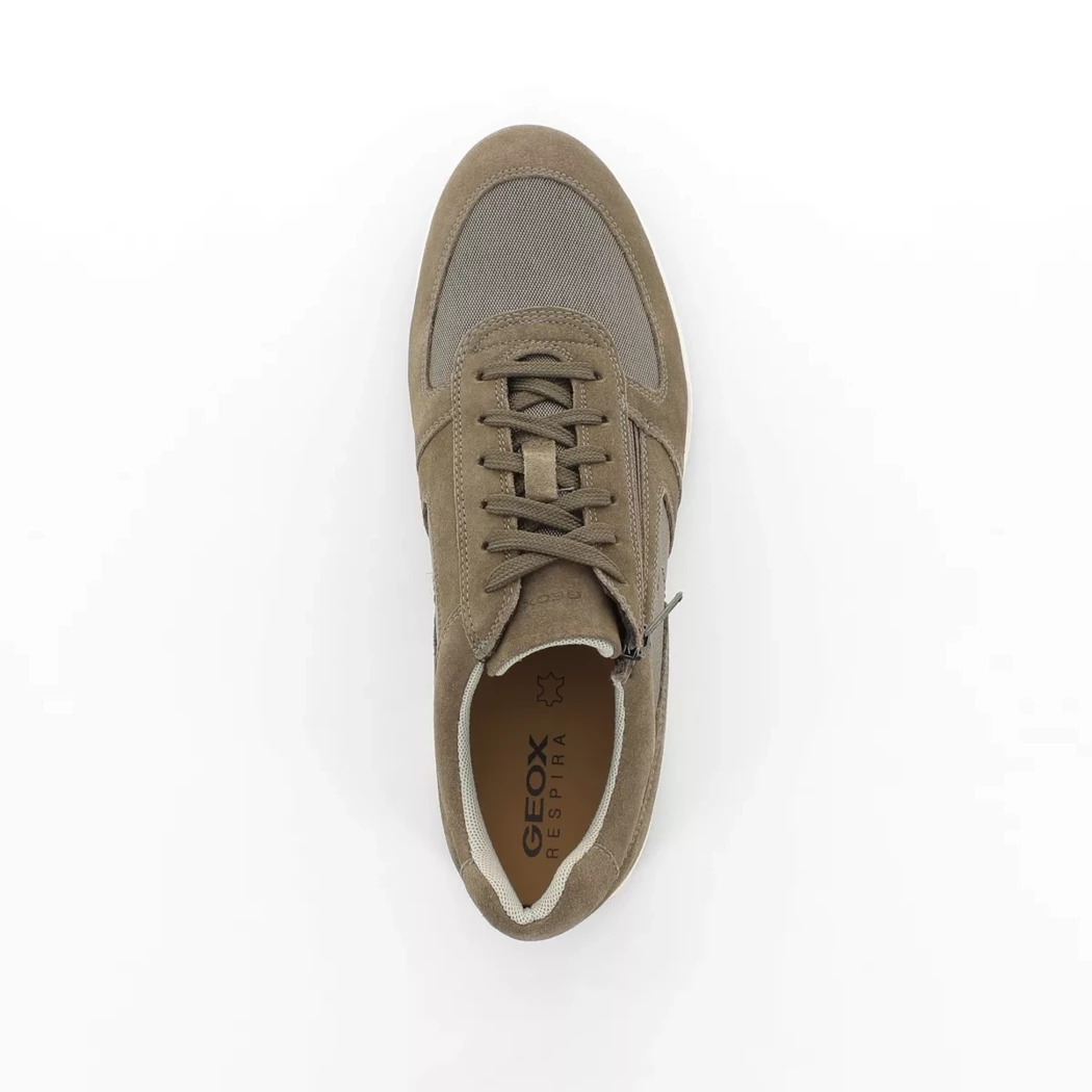 Image (6) de la chaussures Geox - Chaussures à lacets Taupe en Cuir nubuck