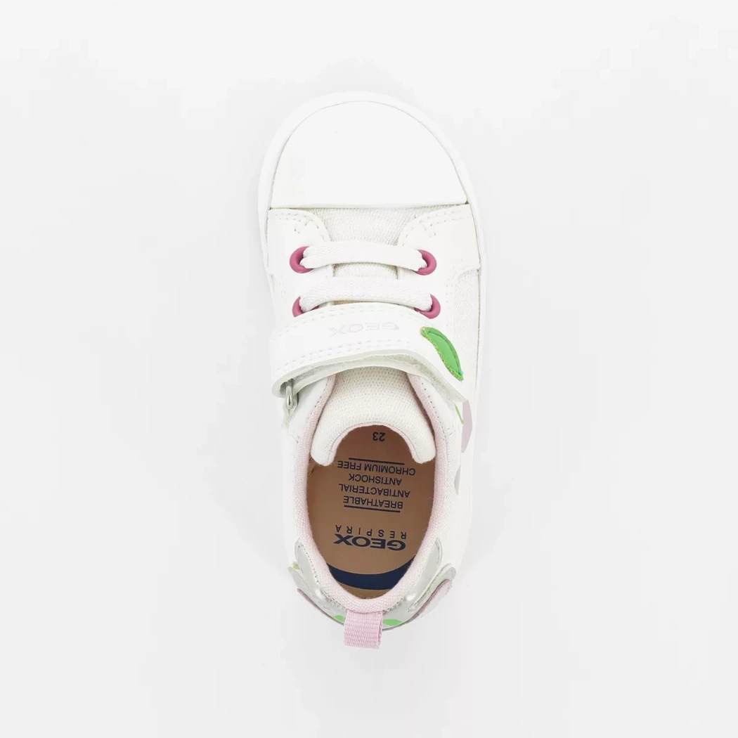 Image (6) de la chaussures Geox - Baskets Blanc en Textile